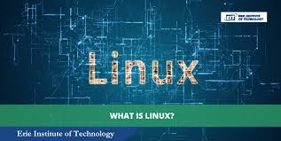 Image result for Computers Software Operating Systems Linux Networking