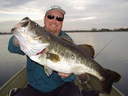 We did not find results for: The 7 Best Ways To Catch Deep Water Bass