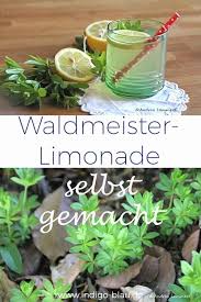 Waldmeister Limonade Selbst Gemacht Easylemonaderecipe Waldmeister Limonade Kannst Du Ganz Einfach Selbst Machen Lies Me Waldmeister Limonade Limonade Rezept