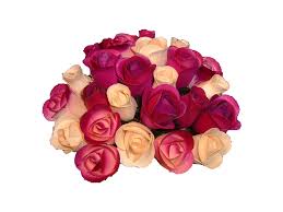 Color Chart Wooden Roses Wholesale Wooden Roses Wood Flowers