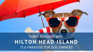Location results following this field will be filtered as you type. 3 Reasons Why Hilton Head Island Is Paradise For Dog Owners