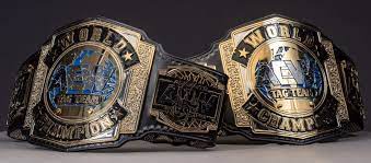 Aew World Tag Team Championship Professional Wrestling Pro Wrestling Professional Wrestlers