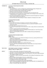 Junior Web Developer Resume Samples Velvet Jobs
