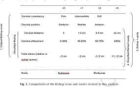 Image result for Bishop Score