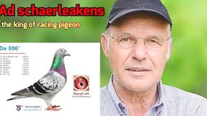 Pigeon Racing Secrets of Champions I
