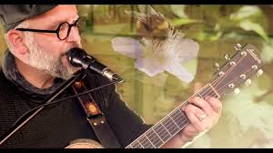 Bumblebee by Alex Roberts