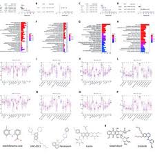 Image result for Zehneria tridactyla