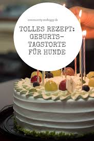 Rezept Rosa Geburtstagstorte Fur Hunde Midoggy Community Hundekuchen Rezepte Kuchen Fur Hunde Rezepte