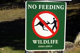Negative obligation the obligation not to do includes not to give. How To Use Must Have To And Need To In English