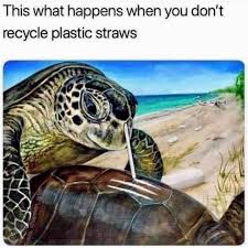 Jan 01, 2020 · 2020 public holidays international service. Save The Turtles Instagram Posts Picuki Com