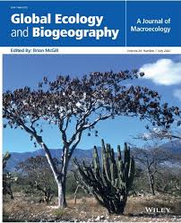 Image result for Englerodendron