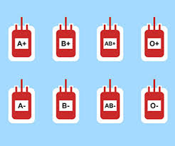 What Your Blood Type Says About You A Fun Educational Look
