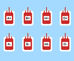 what your blood type says about you a fun educational look