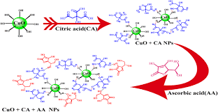 It is also the scientific name for vitamin c, so don't let it scare you. Https Journals Sagepub Com Doi Pdf 10 1177 0892705716632857