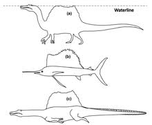 Spinosaurus Wikipedia