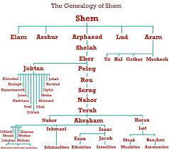 Genesis 10 Genealogy Of Shem Bible Genealogy Bible Facts Bible Study Notes