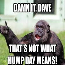 Pin On Hump Day Meme