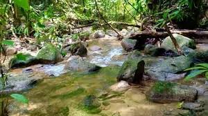 Trekking ke air terjun kubang gajah atau lebih dikenali air terjun sofea jane. Air Terjun Sofea Jane Kampung Kemensah Hulu Kelang Malaysia Posts Facebook