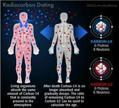 Archaeology and other human sciences use radiocarbon dating to prove or disprove theories. Pin On Fyi