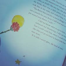 It Is Such A Secret Place The Land Of Tears It Is Such A Secret Place The Land Of Tears Secret Places Sayings Quotes