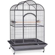 Bird Aviary For Sale Nz Prevue Pet Products Wrought Iron Silverado Macaw Dometop Bird Cage Silver Large Bird Cages Macaw Cage Bird Cages For Sale