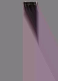 The Loos family genealogy, 1535-1958