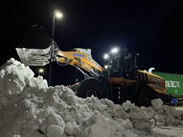 Image result for Case Power Tan 2018 Fleet