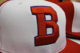 Buffalo Bisons Opening Roster Bluebird Banter