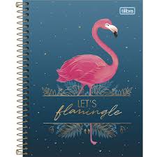 Caderno Espiral Capa Dura Colegial 1 Materia Aloha