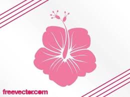 Vector blue tropical flowers seamless pattern. 7 Hawaiian Flower Vectors Download Free Vector Art Graphics 123freevectors
