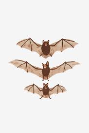 The bats & boos cross stitch measures 93w x 93h, finishing at 6.75″ square when stitched on 14 count aida! Bats Pattern Free Embroidery Patterns Dmc