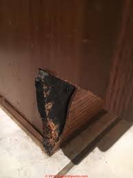 Dog chewed cabinet corner i need to fix this before i move out of my apartment will wood filler be enough for damage this deep how shall i. Animal Damage To Buildings Recognition Damage Prevention Cure Damage By Dogs Cats Mice Rats Raccoons And Other Animals