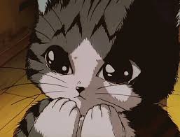 Crying Anime Cat Crying Cat Creepy Cat Anime Cat Anime