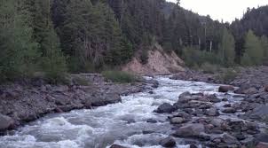 Vettori live stream info things will get going with the early prelims. How Placer Gold Is Deposited In Creeks And Rivers How To Find Gold Nuggets