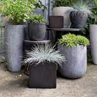 Maybe you would like to learn more about one of these? Order Plant Pots Online For Montreal Plant Delivery The Flower Pot