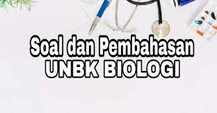 We did not find results for: Download Soal Dan Pembahasan Unbk Biologi 2018 Pdf Doc