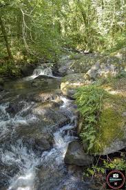 Voici un échantillon des plus belles écoles au monde. Les Cascades Du Ruisseau Du Clan A Allassac En Correze Les Photos De Sebastien Colpin Les Cascades Correze Ruisseau