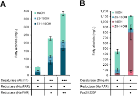 But what you'll end up paying for pest control might be lower or higher, depending on what type of pests you're trying to evict and how often you're. Production Of Moth Sex Pheromones For Pest Control By Yeast Fermentation Biorxiv