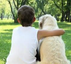 We've generated over a million quotes and helped thousands of pet owners. Mobile Services Vanguard Vet