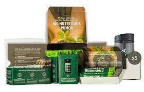 Zija Basic 30 System Plus Zija International Weight Loss System