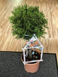 Ideen für mitbringsel und geschenke zum richtfest. Fur Den Hauslebauer Ein Geschenk Zum Richtfest Geschenke Zum Richtfest Geschenk Haus Haus Einweihung Geschenk