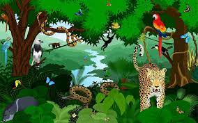 What Is A Tropical Rainforest? - Amazon Aid Foundation