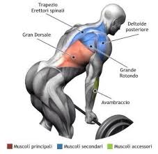 We did not find results for: Back Exercises Like And Share Gym Workout Chart Facebook