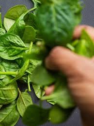 I cavoli contengono un basso contenuto di acido ossalico (fattore che riduce l'assorbimento). 10 Alimenti Ricchi Di Calcio Anche Senza Lattosio Westwing