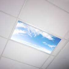 Price match guarantee enjoy free shipping and best selection of kitchen fluorescent light covers that matches your unique tastes and budget. Octo Lights Fluorescent Light Covers 2x4 Fluorescent Light Filters Ceiling Light Covers For Classroom Kitchen Office 004 Buy Online In Bahamas At Bahamas Desertcart Com Productid 41304874