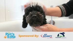 We did not find results for: Dayton For Pet S Sake News Weather Sports Breaking News Wrgt