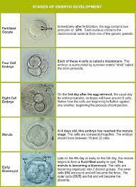 Pin On Infertility Sucks