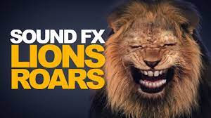 Check spelling or type a new query. Lion Roar Sound Effect High Quality Youtube