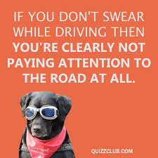 Although you might feel like you're stuck for questions to ask, all you need are amusing and entertaining topics to draw from. If You Don T Swear While Driving Then You Aren T Paying Attention To The Road At All Quote Joke Fun Trivia Questions Funny Quotes Be Yourself Quotes