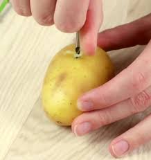 Roses can be grown in u.s. Potatoes Can Do These Amazing Things For Your Flowers